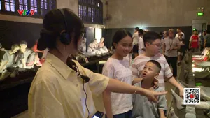 Học lịch sử từ những chuyến tham quan di tích