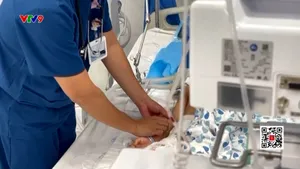 Hậu quả khi lái xe say xỉn