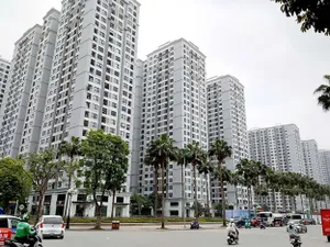 Chung cư “giữ nhiệt”, đất nền giảm sức hút