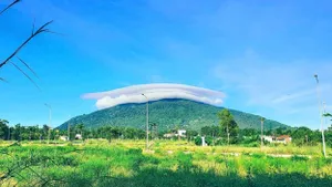 Đồng Nai chuyển đổi 130 ha rừng để thực hiện 4 dự án