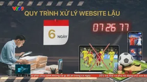 Bất cập quy trình ngăn chặn website lậu