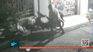 Trộm không đợi mùa