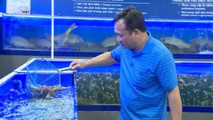 Gia tăng tiêu thụ thủy sản nội địa trong kênh phân phối hiện đại