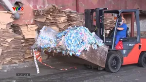 Cần chính sách thúc đẩy sản xuất, phân phối bao bì xanh
