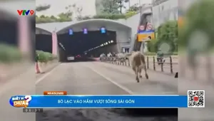 Thời sự: Biết gì chưa (16/8/2025)