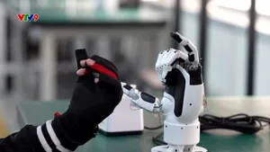 Cuộc cạnh tranh tại Châu Á giành nguồn nhân lực A.I