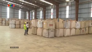 Hoàn thuế VAT 5%: Doanh nghiệp xuất khẩu nông sản gặp khó