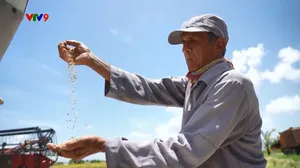 VTV Đặc biệt: "Hạt giống hạnh phúc"