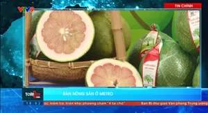 Thời sự: Toàn cảnh 24h (24/8/2025)