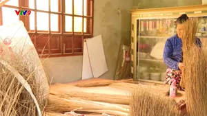 Nghề bó chổi dừa ở Đồng Tháp