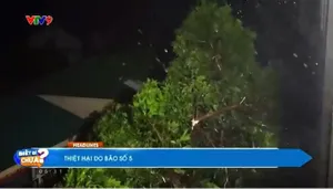 Thời sự: Biết gì chưa (26/8/2025)