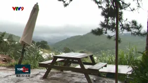 Ẩn họa những quán cafe lưng chừng đồi