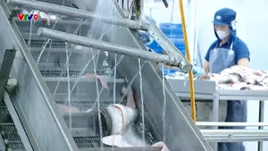 Doanh nghiệp đẩy mạnh các phương án ứng phó thuế đối ứng của Mỹ