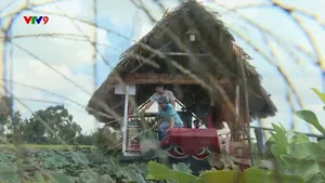 Lựa chọn tour du lịch văn hóa trải nghiệm Tây Ninh