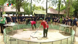 Trại rắn Đồng Tâm - Điểm đến độc đáo dịp 2/9