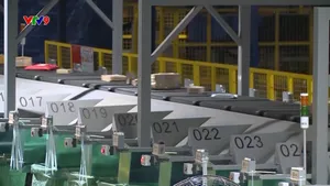 Thương mại điện tử: Thay đổi và thích ứng