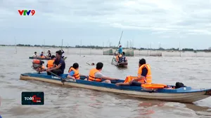 Tour mùa nước nổi Đồng Tháp thu hút du khách