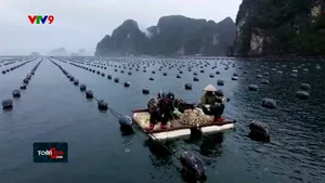 Kết nối hiệu quả dòng vốn xanh quốc tế vào Việt Nam