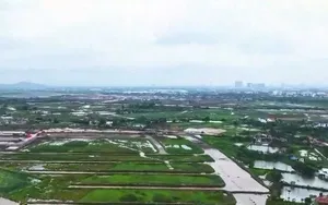 Hải Phòng sau hợp nhất: Bất động sản “cất cánh” với loạt chính sách mới