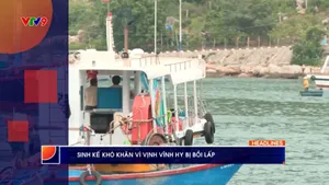 Thời sự: Phương Nam hôm nay (11/9/2025)