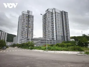 Gia Lai triển khai xây 16.000 căn nhà ở xã hội