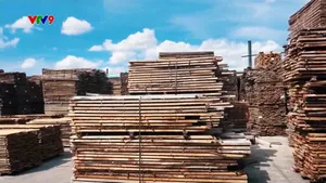 Việt Nam cam kết đảm bảo nguồn gốc gỗ hợp pháp