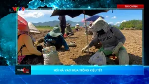 Thời sự: Toàn cảnh 24h (13/9/2025)