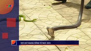 Thời sự: Phương Nam hôm nay (16/9/2025)