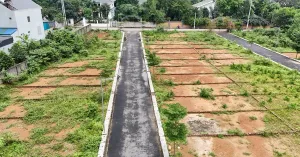 TP Hồ Chí Minh rà soát "làm sạch" dữ liệu hàng triệu thửa đất tại 168 xã, phường, đặc khu