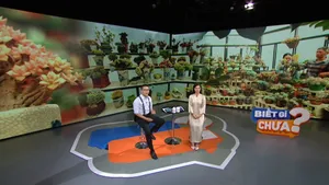 Biết gì chưa (27/9/2025)