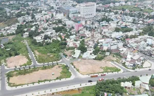 Đồng Nai dự kiến xây dựng 89 khu tái định cư từ nay đến 2030