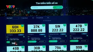 Triển khai kho biển số đấu giá