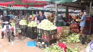 Rác hữu cơ từ chợ làm thức ăn chăn nuôi