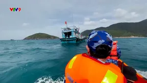 Quyết liệt tạo chuyển biến trong quản lý tàu cá