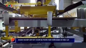 Doanh nghiệp gấp rút chuẩn bị trước thời điểm EUDR có hiệu lực