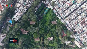 Sớm hồi sinh đất vàng