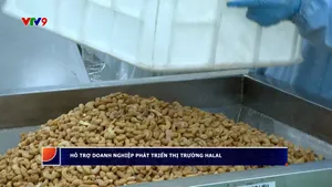 Hỗ trợ doanh nghiệp phát triển thị trường Halah