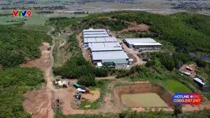 Thời sự: Biết gì chưa (28/10/2025)