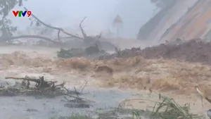 Cao tốc La Sơn - Túy Loan tê liệt do sạt lở