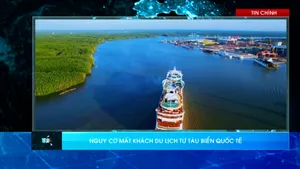 Thời sự: Toàn cảnh 24h (28/10/2025)