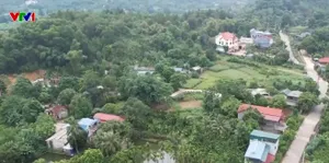 Nhiều diện tích có sổ đỏ biến thành đất rừng