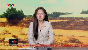 Thời sự: Toàn cảnh 24h (02/11/2025)