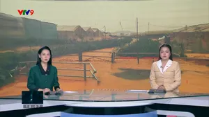 Thời sự: Toàn cảnh 24h (03/11/2025)