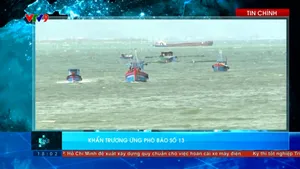 Thời sự: Toàn cảnh 24h (05/11/2025)