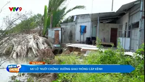 Thời sự: Biết gì chưa (09/11/2025)