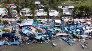 Ngư dân khắc phục thiệt hại, sớm vươn khơi sau bão