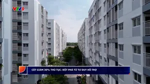 Cắt giảm 30% thủ tục: Đột phá từ tư duy hỗ trợ