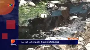 Thời sự: Phương Nam hôm nay (10/11/2025)