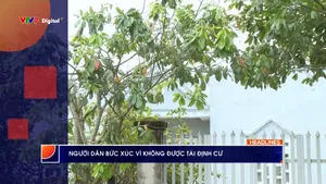 Thời sự: Phương Nam hôm nay (14/11/2025)