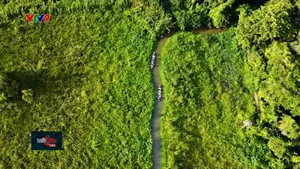 Về thăm Xẻo Quýt